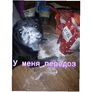 Sticker from Кацу