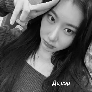🥹 emoji chaeryeong fr @CHAE9J Telegram sticker 24 of 35