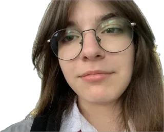 😀 emoji Сигмо веро́ника Telegram sticker 6 of 47