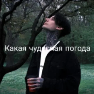 😄 emoji Дима Telegram sticker 5 of 18