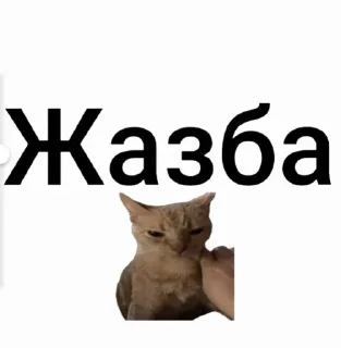 Sticker from Дима @TgEmodziBot