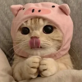 ✨ emoji Хрюши🐷 Telegram sticker 11 of 14