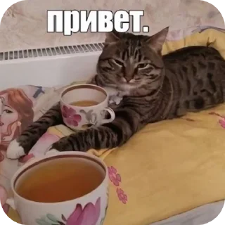 🥤 emoji Урааа!! Telegram sticker 1 of 57