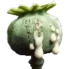 🌷 emoji Drugs Telegram sticker 21 of 69