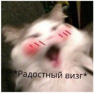🥳 emoji Пикчи для общения @stickerytg Telegram sticker 16 of 30