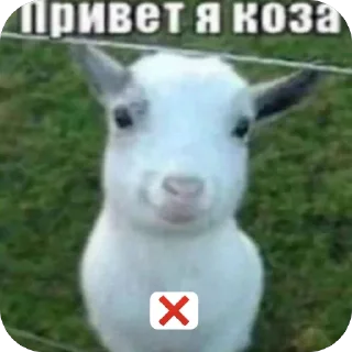 🫥 emoji привет я коза Telegram sticker 9 of 10