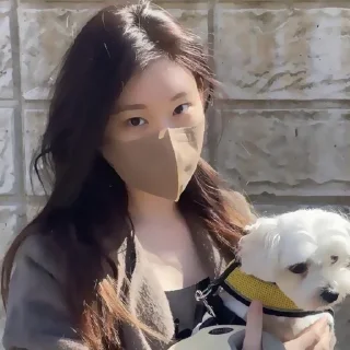 Sticker from ˖ ་.CHAERYEONG ! ? ★ ▸ by @lomicor