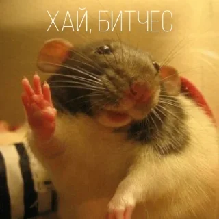👋 emoji Больше стиков тут: @stikery4 Telegram sticker 2 of 43