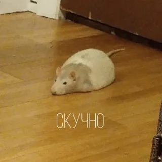 😒 emoji Больше стиков тут: @stikery4 Telegram sticker 18 of 43
