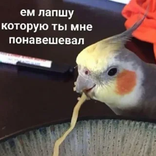 😬 emoji Мм хуета Telegram sticker 22 of 100