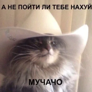 🤨 emoji Мм хуета Telegram sticker 16 of 100