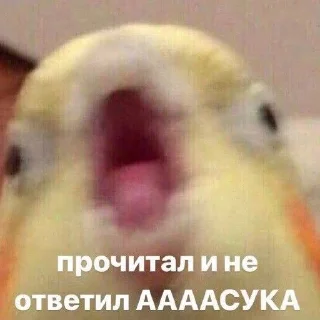 🤬 emoji Мм хуета Telegram sticker 17 of 100