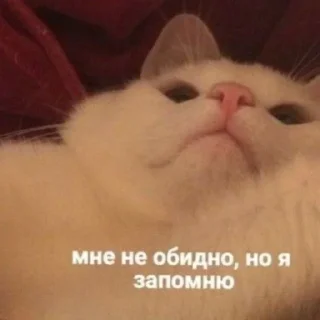 😇 emoji Мм хуета Telegram sticker 15 of 100