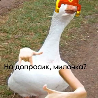 🤩 emoji Ларёк и Лор @Larry_and_Lawrie0 |@EmojiRuBot Telegram sticker 13 of 38