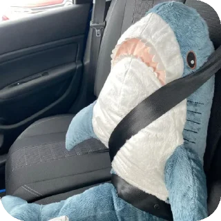 🚗 emoji акулке мегаладончеке от @tsunamisprint Telegram sticker 3 of 14