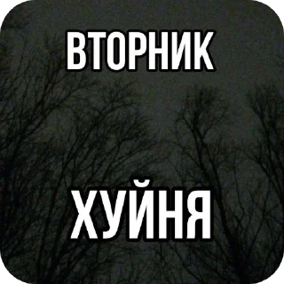 🥰 emoji Viktoriawer_yo🫦 Telegram sticker 10 of 53
