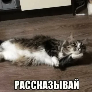 🌟 emoji химик ➡️ @Ctikerubot Telegram sticker 13 of 17