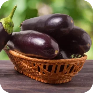 🍆 emoji СТИКЕРЫ ТУТ -> @stikery_stickers Telegram sticker 5 of 49