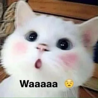 😍 emoji from @Kycb42148 Telegram sticker 9 of 26