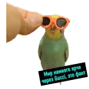 😎 emoji POPUG — @stckrRobot Telegram sticker 16 of 90