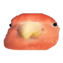 😐 emoji POPUG — @stckrRobot Telegram sticker 5 of 90