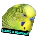 😡 emoji POPUG — @stckrRobot Telegram sticker 8 of 90
