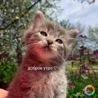 ☀️ emoji илья Telegram sticker 24 of 25