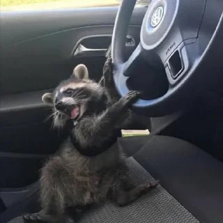 🏎 emoji Больше стиков тут: @stikery4 Telegram sticker 12 of 57