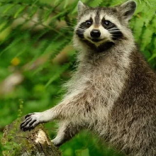 😃 emoji Больше стиков тут: @stikery4 Telegram sticker 19 of 57