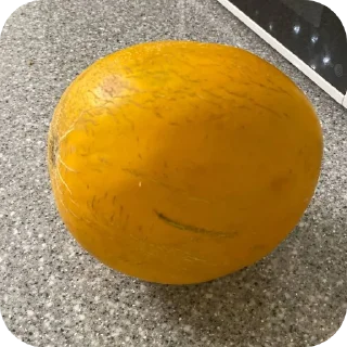 🍲 emoji женщина загадка бай настиксс Telegram sticker 23 of 43