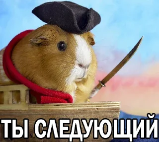 😡 emoji Морские свинки @BrHobbitgames Telegram sticker 20 of 39