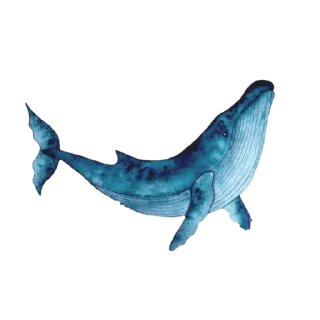 🐋 emoji @Madre_Tierra_5D 🌼 — @stckrRobot Telegram sticker 17 of 120