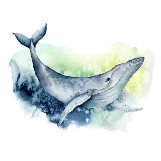 🐋 emoji @Madre_Tierra_5D 🌼 — @stckrRobot Telegram sticker 23 of 120