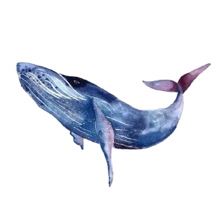 🐋 emoji @Madre_Tierra_5D 🌼 — @stckrRobot Telegram sticker 21 of 120