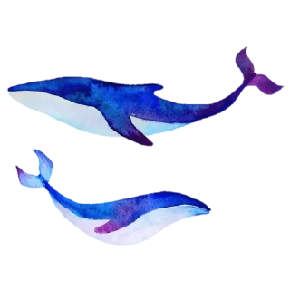 🐋 emoji @Madre_Tierra_5D 🌼 — @stckrRobot Telegram sticker 16 of 120
