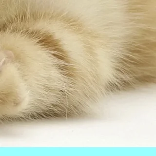 🥰 emoji Больше стиков тут: @stikery4 Telegram sticker 19 of 25