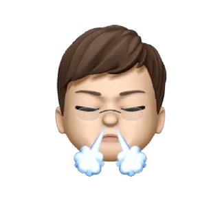 😤 emoji BehruzObidov Telegram sticker 9 of 20