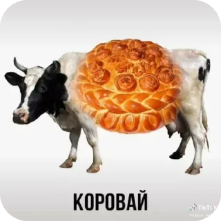 Sticker from Смешные животные