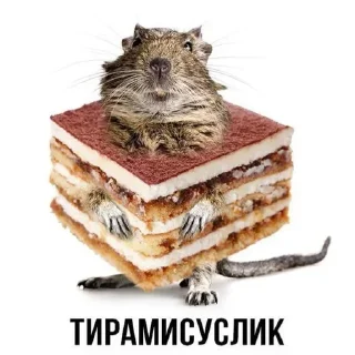Sticker from Смешные животные
