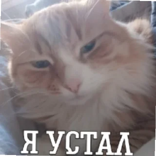😓 emoji ▪︎■♤|HACKER_GARIK|♤■▪︎ Telegram sticker 1 of 10