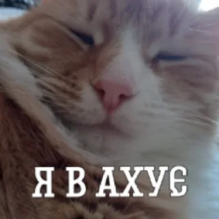 😳 emoji ▪︎■♤|HACKER_GARIK|♤■▪︎ Telegram sticker 9 of 10