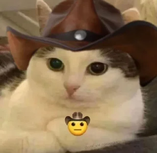 🤠 emoji C A T S Telegram sticker 6 of 59