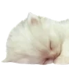 🌟 emoji @dollluvv Telegram sticker 17 of 80