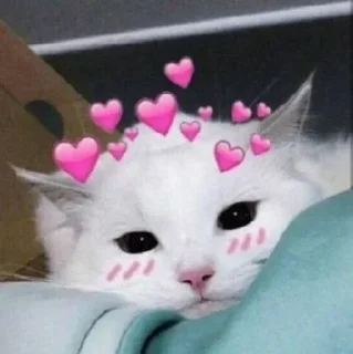 🥰 emoji Sashkaxu1 — @stckrRobot Telegram sticker 24 of 120