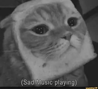 😭 emoji Sadcat Telegram sticker 9 of 16