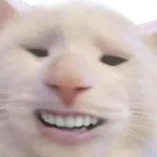 😏 emoji SadCat Telegram sticker 13 of 74