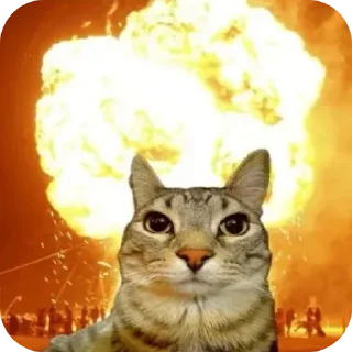 🐱 emoji Налоги на кредитные взыскания Telegram sticker 7 of 75