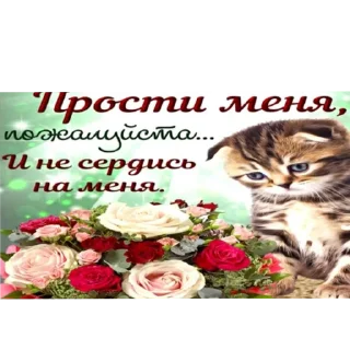 🐱 emoji Налоги на кредитные взыскания Telegram sticker 4 of 75