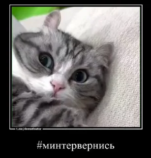 😍 emoji Любимые огурчика ➡️ @Ctikerubot Telegram sticker 6 of 51