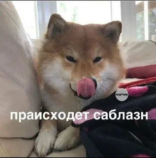 🔞 emoji хуянские пряники Telegram sticker 19 of 42